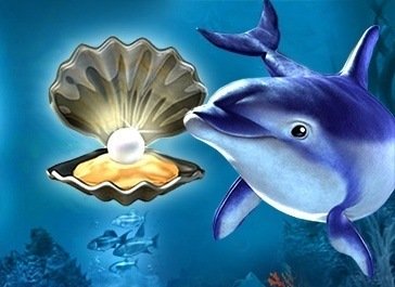 Dolphins Pearl Deluxe